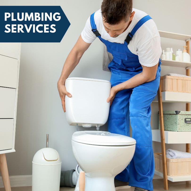 Plumbing Company in Luzerne, MI